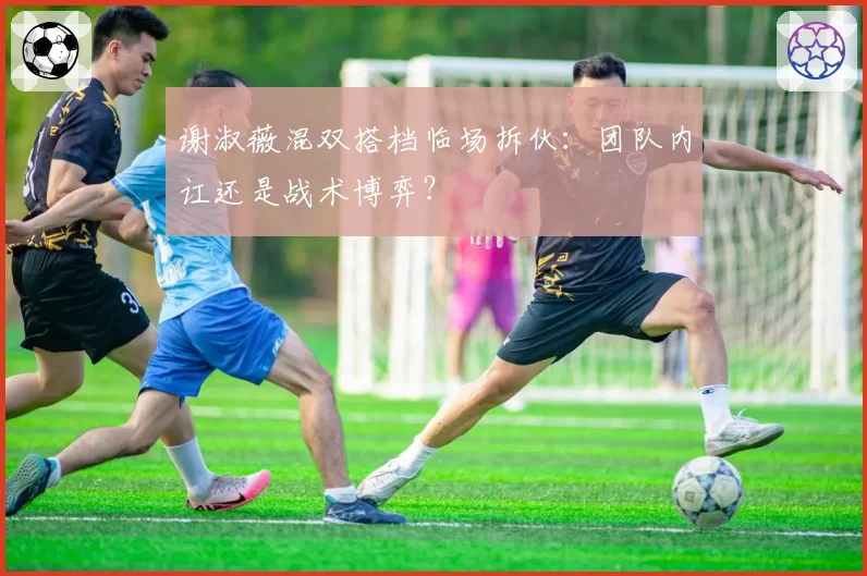 谢淑薇混双搭档临场拆伙：团队内讧还是战术博弈？