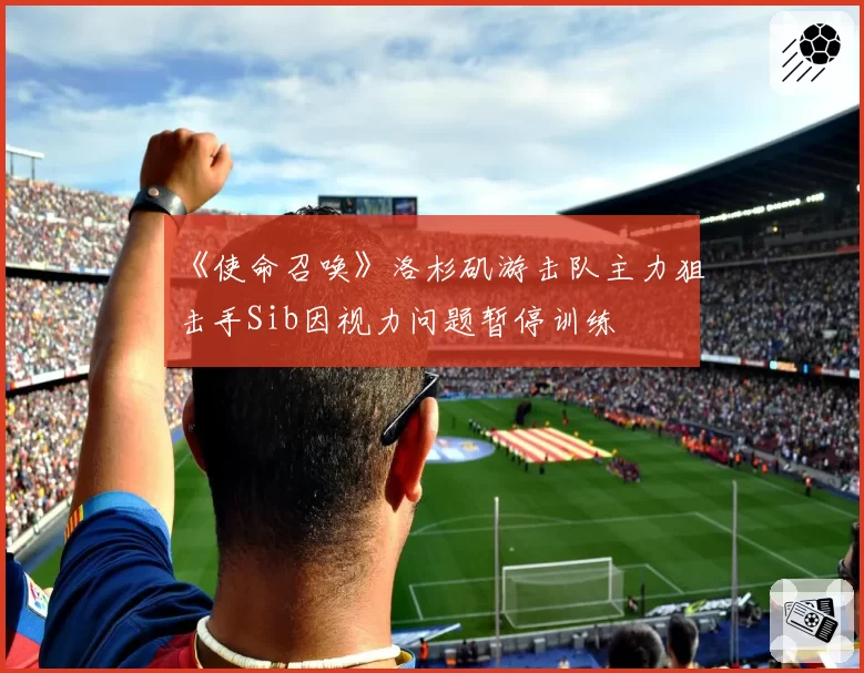 《使命召唤》洛杉矶游击队主力狙击手Sib因视力问题暂停训练