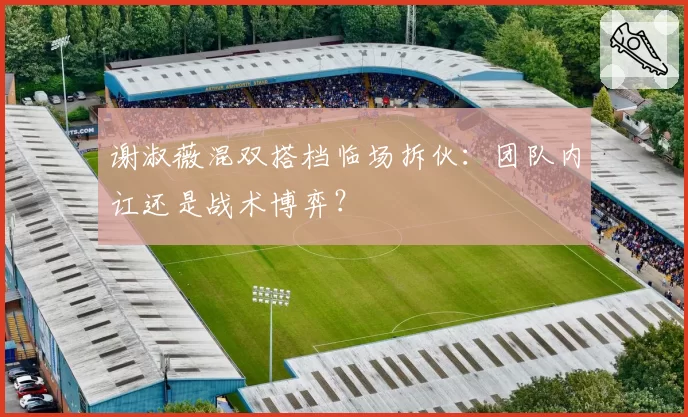 谢淑薇混双搭档临场拆伙：团队内讧还是战术博弈？