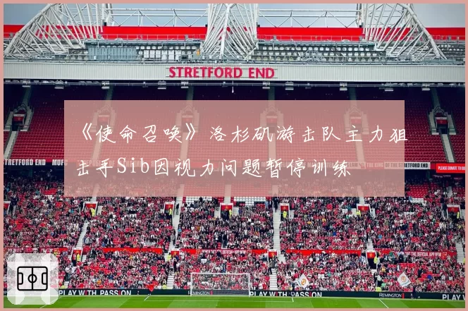 《使命召唤》洛杉矶游击队主力狙击手Sib因视力问题暂停训练